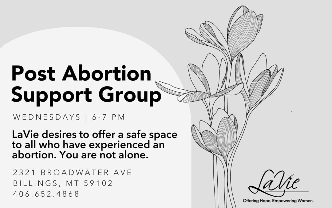 LAVIE POST ABORTION SUPPORT GROUP