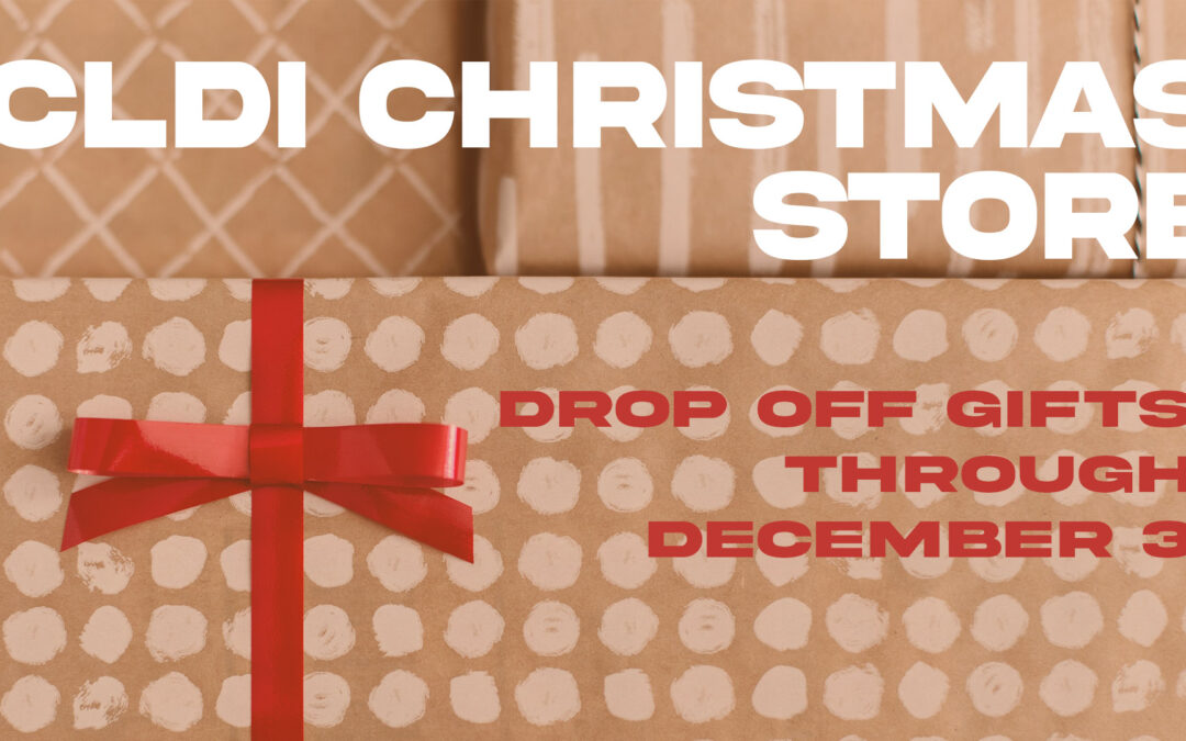 CLDI Christmas Store