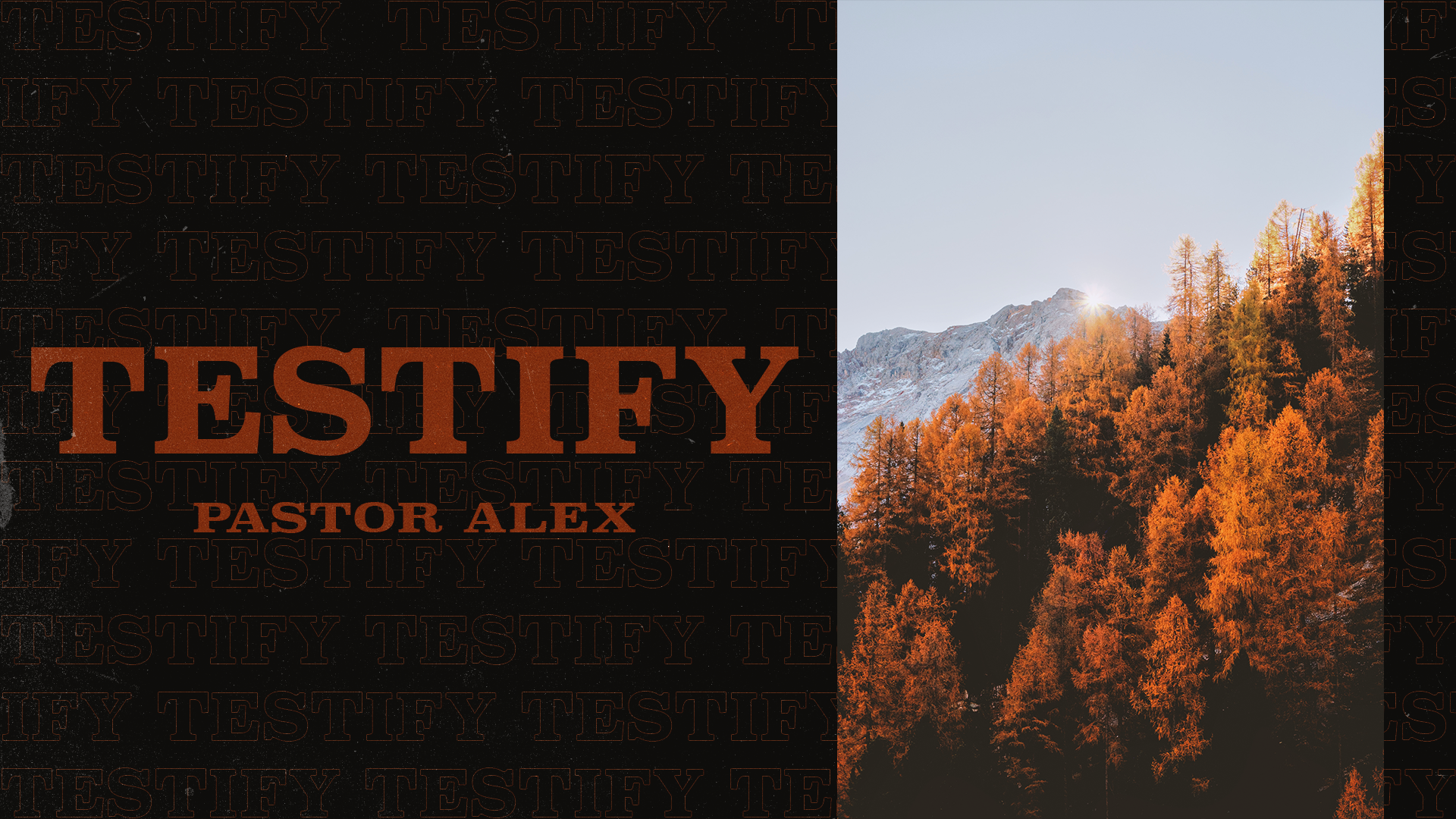 Testify