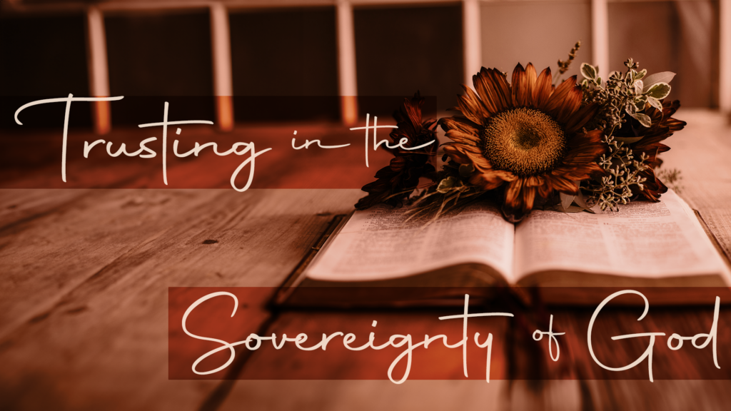 Trusting in the Sovereignty of God