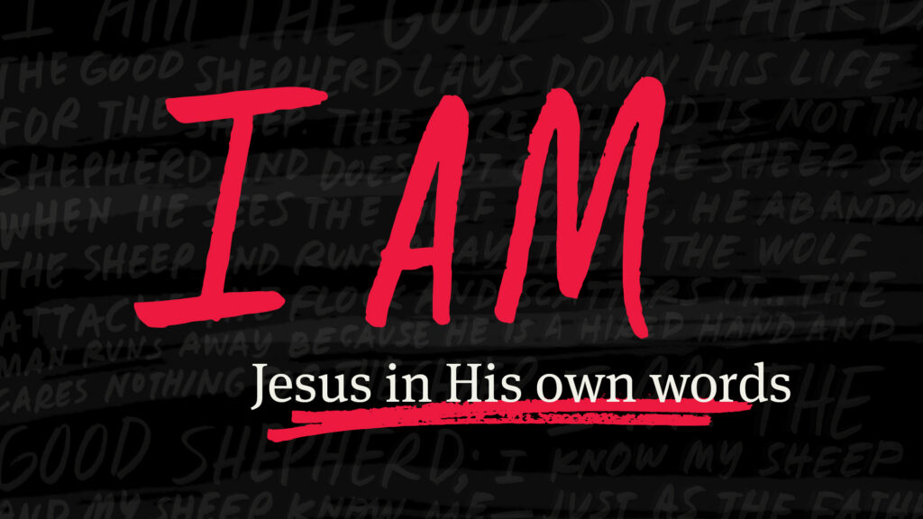 Leading Like Jesus